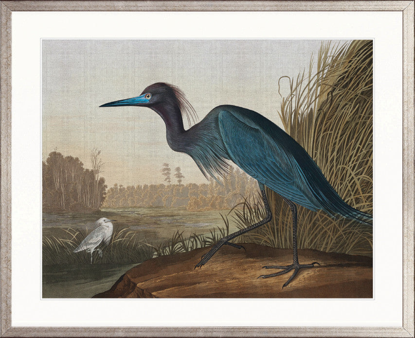 Exquisite Bird XI