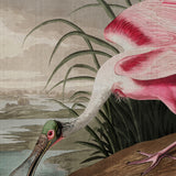 Exquisite Bird IX (Canvas)