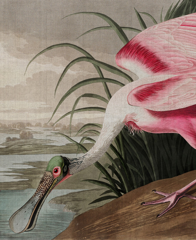 Exquisite Bird IX