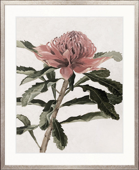 Native Bloom IV