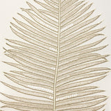 Folia Plam II X-Large (1050mm W x 1050mm H) / Clear Acrylic
