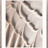 Aviles Feather I