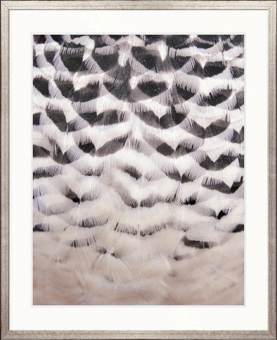 Aviles Feather III