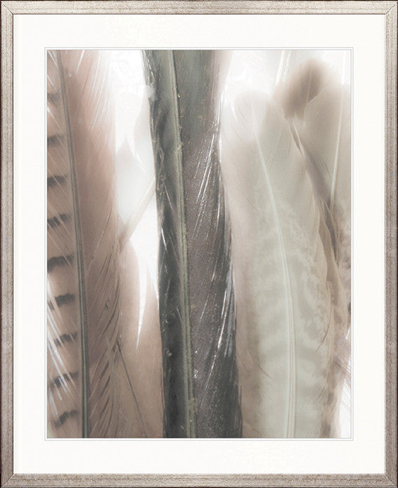 Aviles Feather IV
