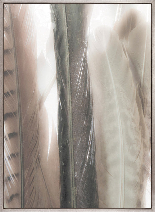 Aviles Feather IV (Canvas)