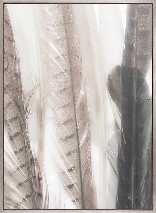 Aviles Feather VI (Canvas)