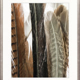 Simple Feather I