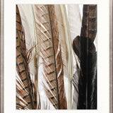 Simple Feather III