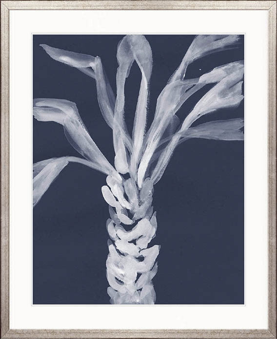 St Bartholomew Palm V