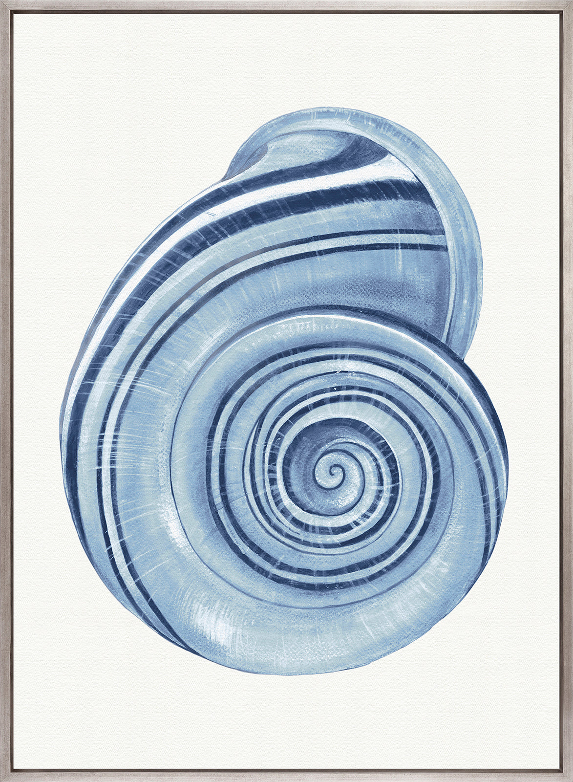 Baudin Shell I (Canvas)