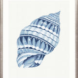 Baudin Shell II Small (465mm W x 560mm H) / Standard Clear Glass