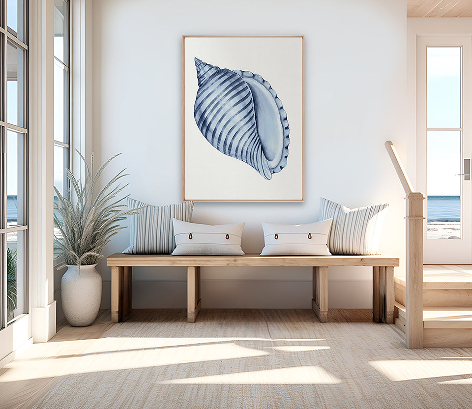 Baudin Shell III (Canvas)