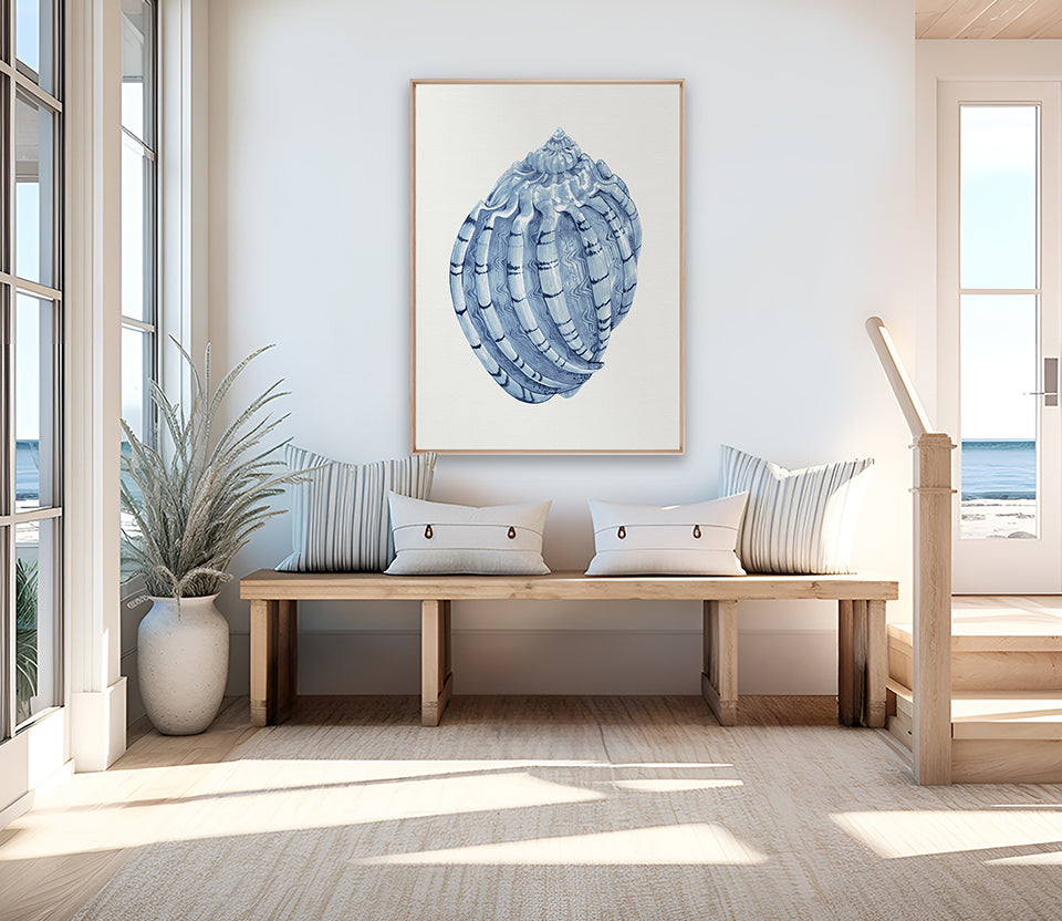 Baudin Shell IV (Canvas)