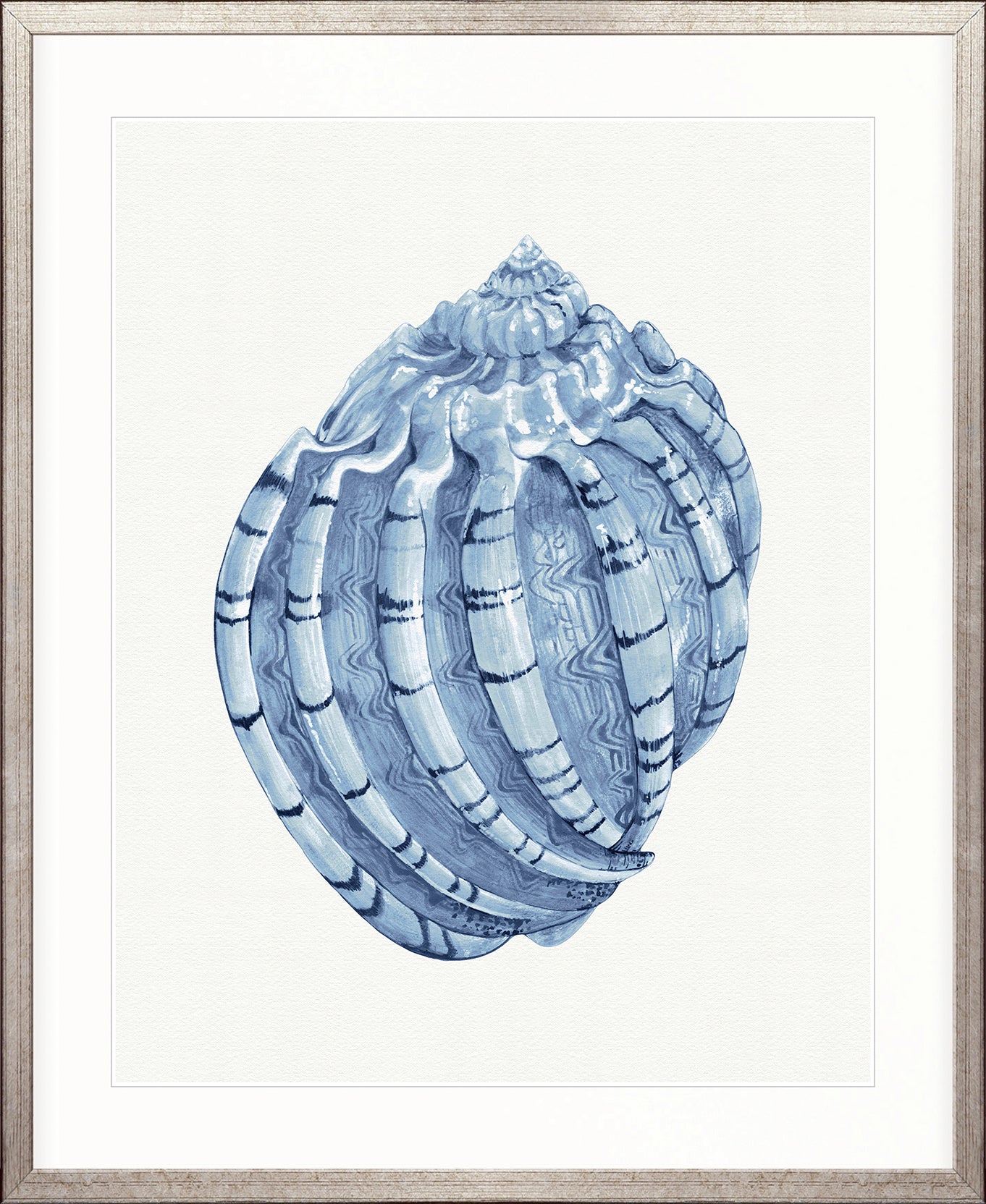 Baudin Shell IV