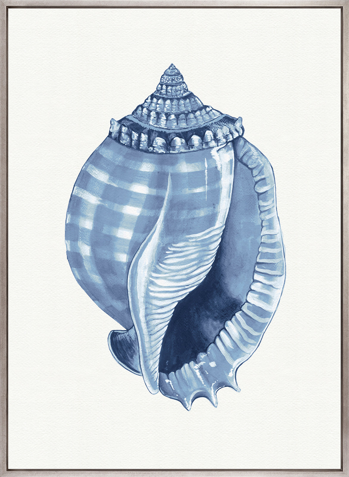 Baudin Shell V (Canvas)