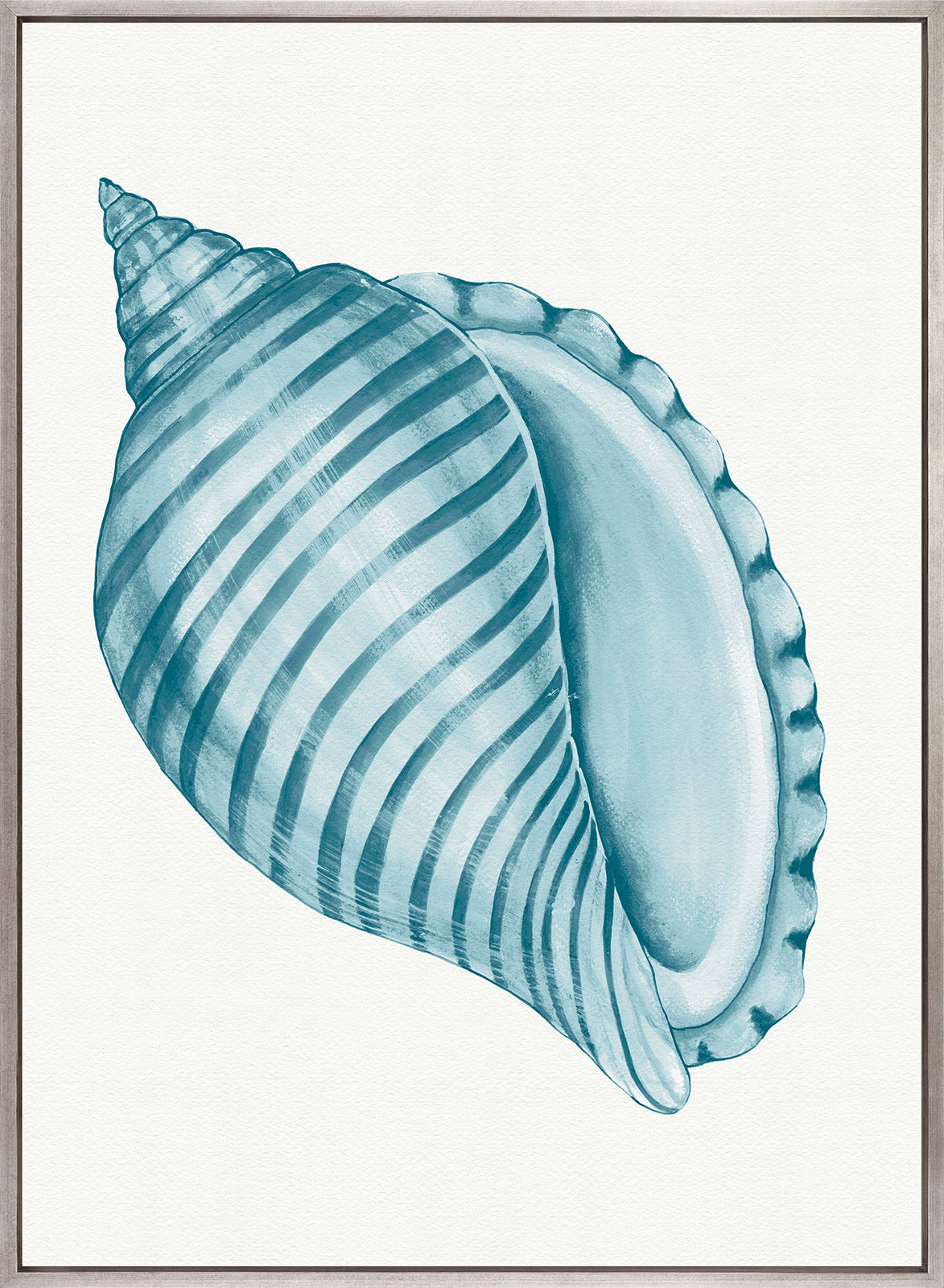 Baudin Shell IX (Canvas)