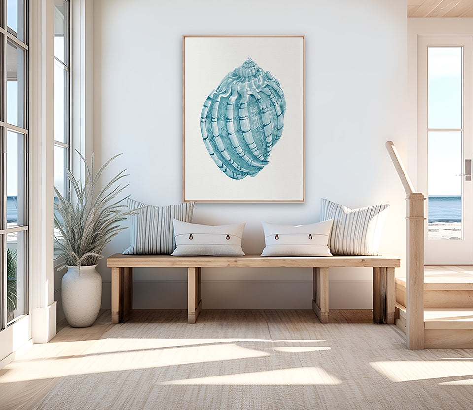 Baudin Shell X (Canvas)