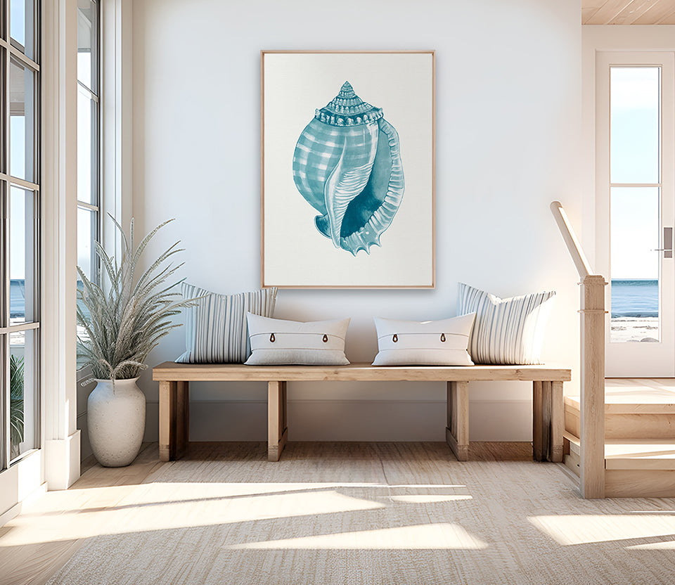 Baudin Shell XI (Canvas)