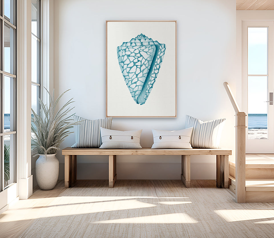 Baudin Shell XII (Canvas)