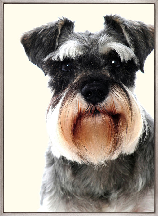 Baxter I (Canvas)