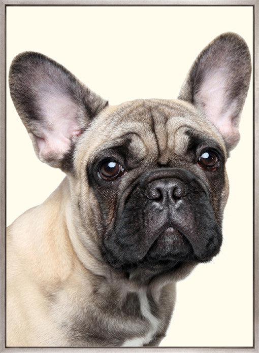 Baxter II (Canvas)