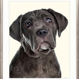 Baxter III