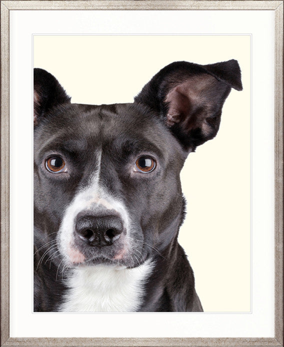 Baxter V