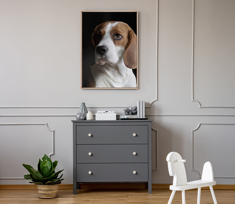 Baxter VI (Canvas)