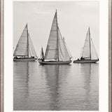 Tranquil Bay V
