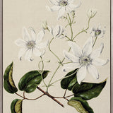 Coastal Native I (Canvas)