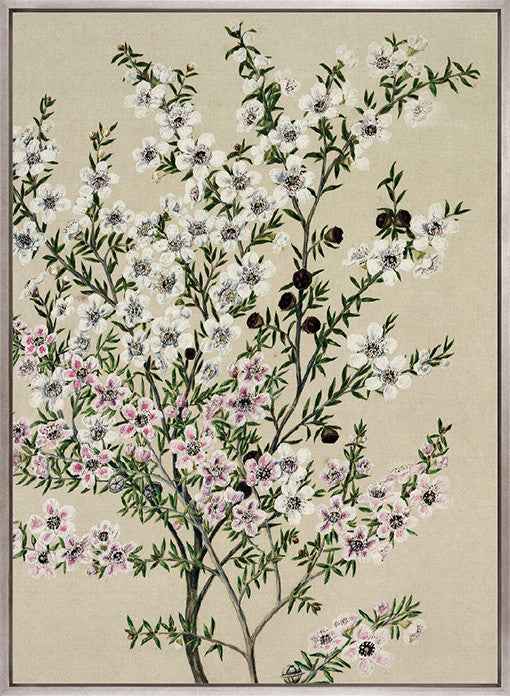 Coastal Native II (Canvas)