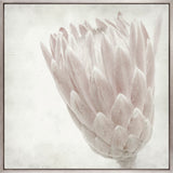 Protea Beauty IV (Canvas)