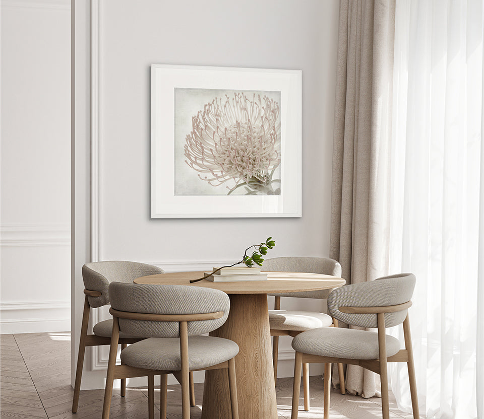 Protea Beauty V