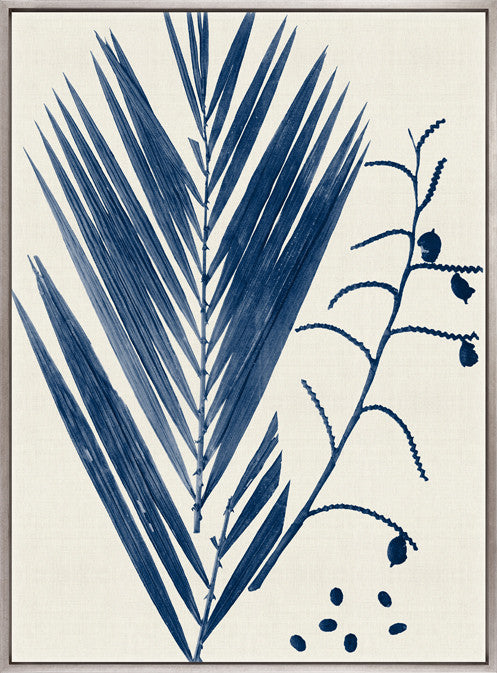 Delicate Frond I (Indigo) (Canvas)