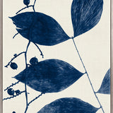 Delicate Frond II (Indigo) (Canvas)