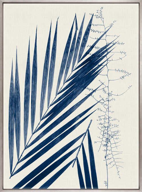 Delicate Frond III (Indigo) (Canvas)