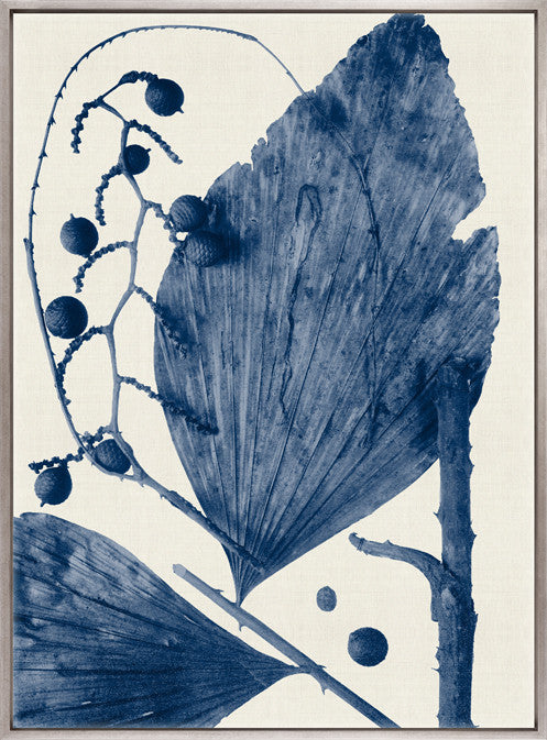 Delicate Frond IV (Indigo) (Canvas)