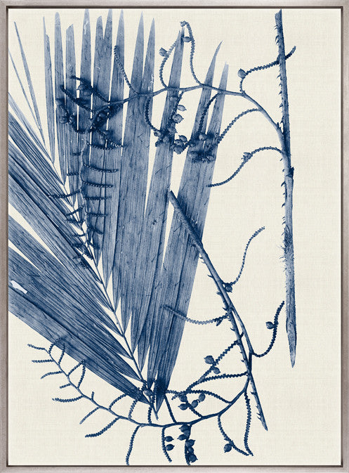 Delicate Frond V (Indigo) (Canvas)