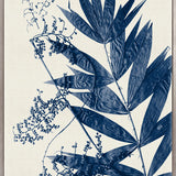 Delicate Frond VI (Indigo) (Canvas)