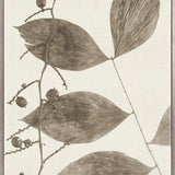 Delicate Frond VIII (Taupe) (Canvas)