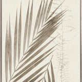 Delicate Frond IX (Taupe) (Canvas)