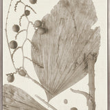 Delicate Frond X (Taupe) (Canvas)