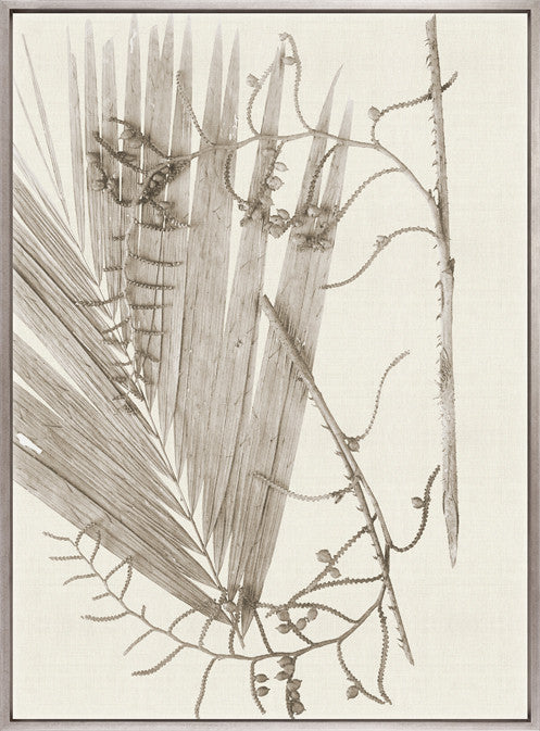 Delicate Frond XI (Taupe) (Canvas)
