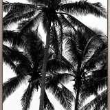 Palm Silhouette I (Canvas)