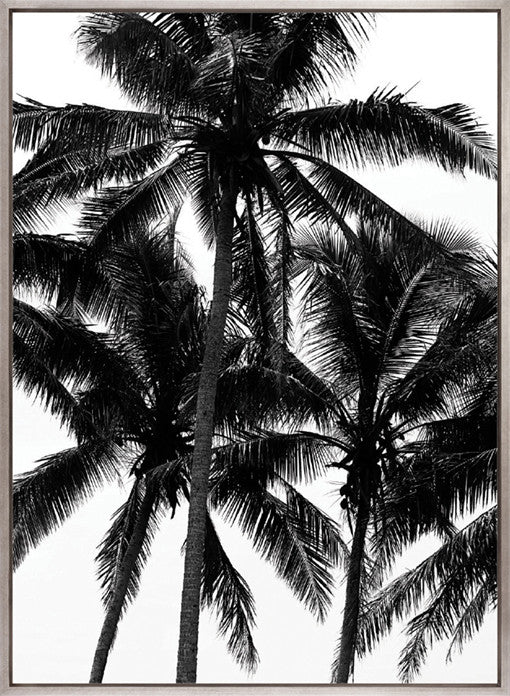 Palm Silhouette I (Canvas)