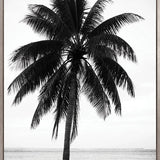 Palm Silhouette IV (Canvas)