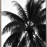 Palm Silhouette V (Canvas)