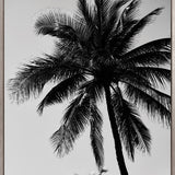 Palm Silhouette VI (Canvas)