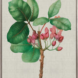 Bella Floral Beauty III (Canvas)