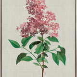 Bella Floral Beauty V (Canvas)